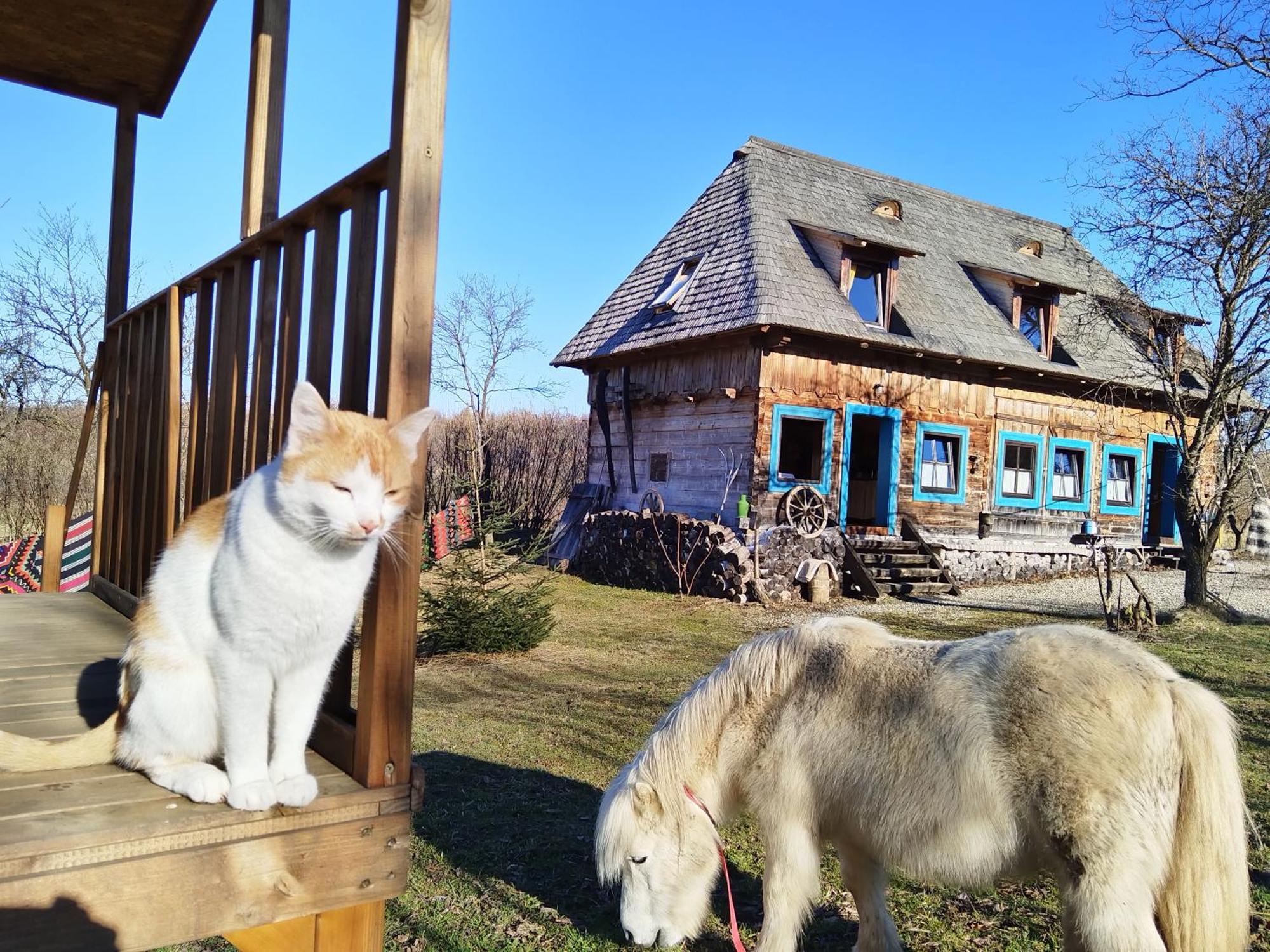 Small Apartment In Breb S Cosy Barn 객실 사진